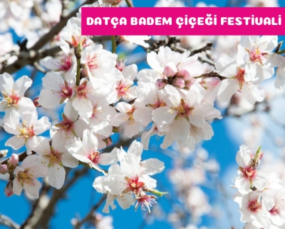 DATÇA BADEM ÇİÇEĞİ FESTİVALİ